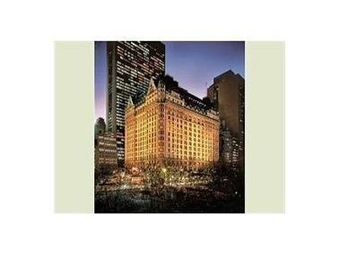 CentralParkBuilding.jpg